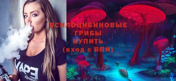 ГАЛЛЮЦИНОГЕННЫЕ ГРИБЫ Абинск