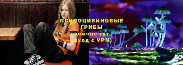 ГАЛЛЮЦИНОГЕННЫЕ ГРИБЫ Абинск